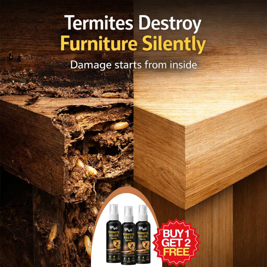 Termite Killer Spray | BUY 1 GET 2 FREE!