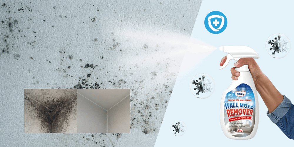 Wall Mold Remover Spray | BUY 1 GET 1 FREE!