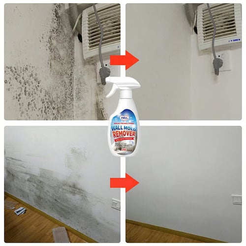 Wall Mold Remover Spray | BUY 1 GET 1 FREE!