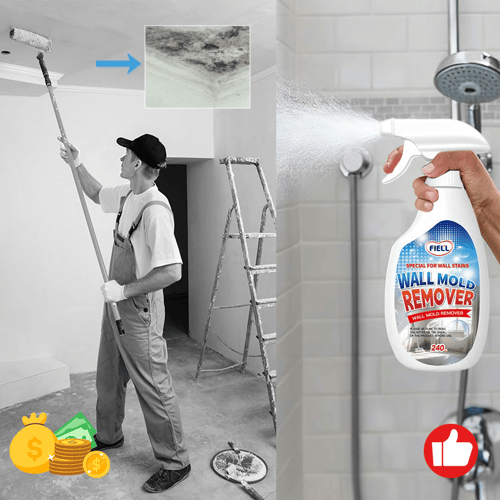 Wall Mold Remover Spray | BUY 1 GET 1 FREE!